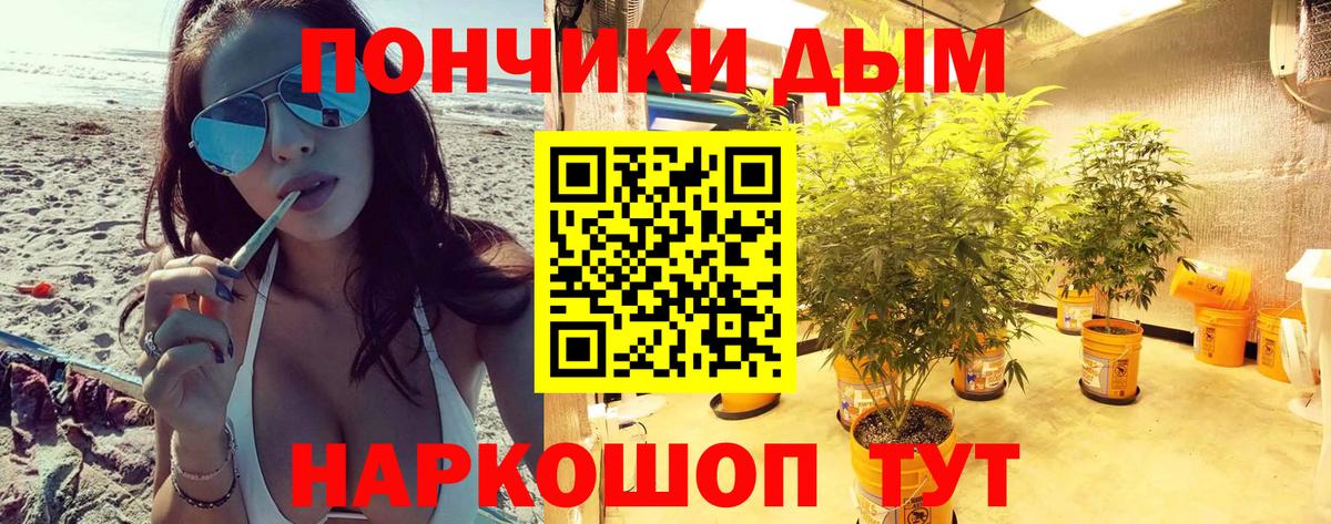 Шишки марихуана марихуана Луга